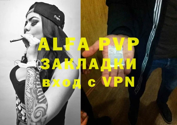 индика Баксан