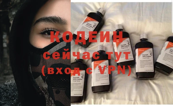 индика Баксан