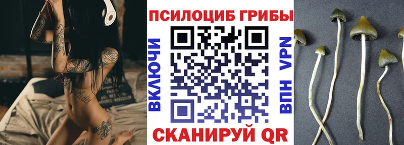 Купить закладки  Касли  Псилоцибиновые грибы Magic Shrooms 