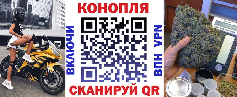 Купить  Касли  Бошки марихуана сатива 